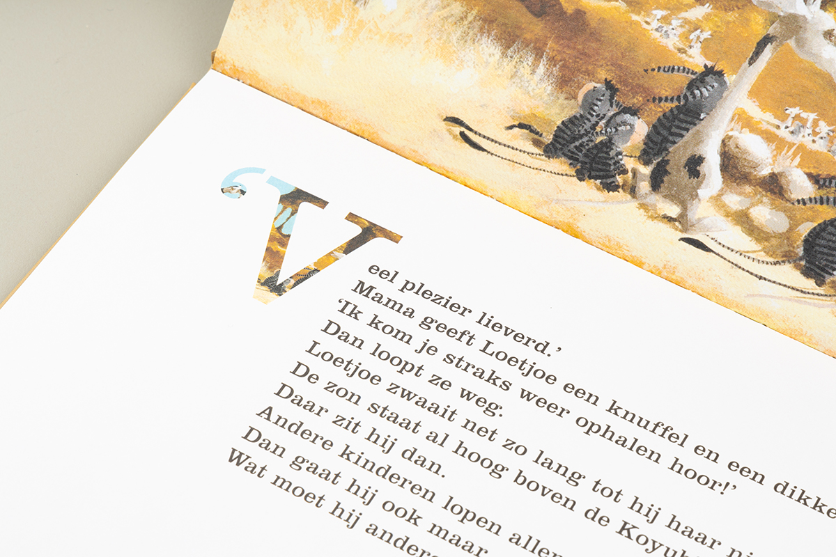 Loetjoeboek boek-beginkapitaal-detail
